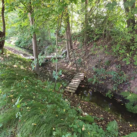 Bez Velké Losiny - Kempovací Místa Camping