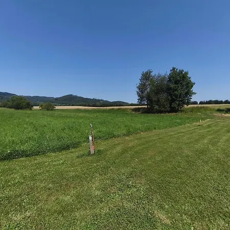 Bez Velké Losiny - Kempovací Místa Šumperk